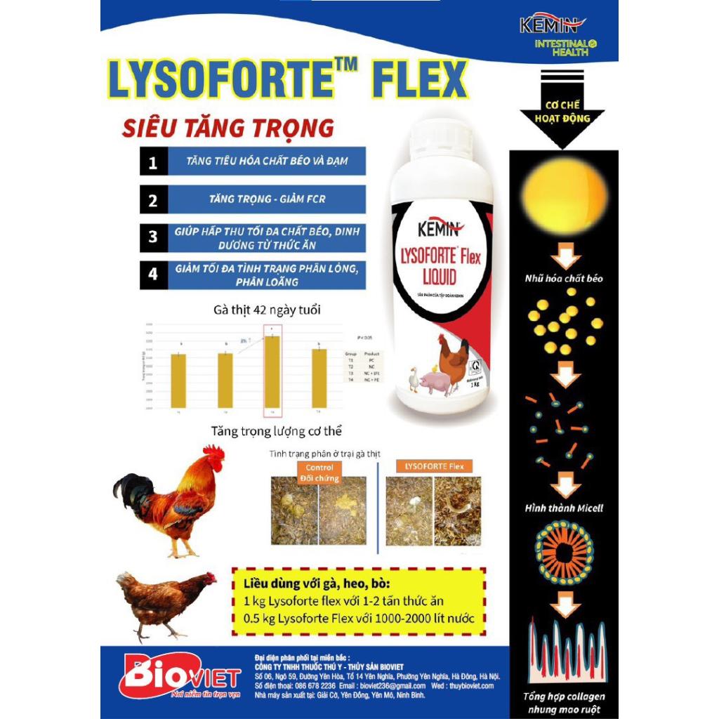 LYSOFORTE FLEX - NK Kemin