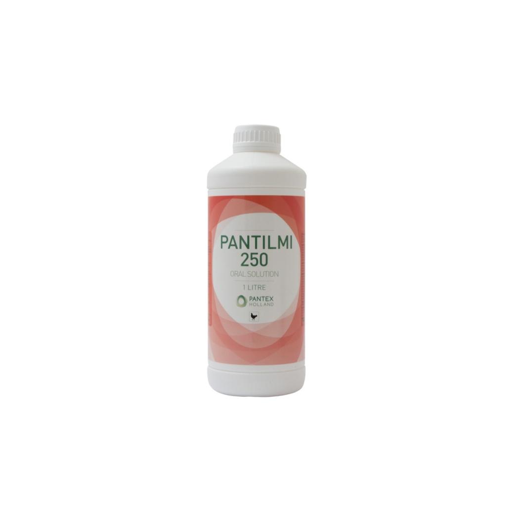 PANTILMI 250 - kháng sinh phổ rộng, đặc trị hô hấp