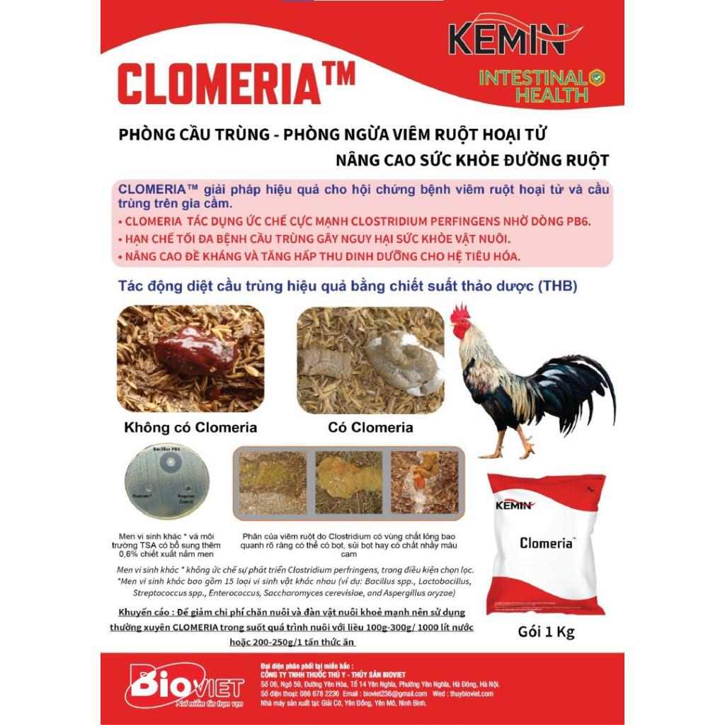 CLOMERIA - GIẢI PHÁP NGĂN NGỪA BỆNH VIÊM RUỘT, CẦU TRÙNG, TIÊU CHẢY - CAO CẤP