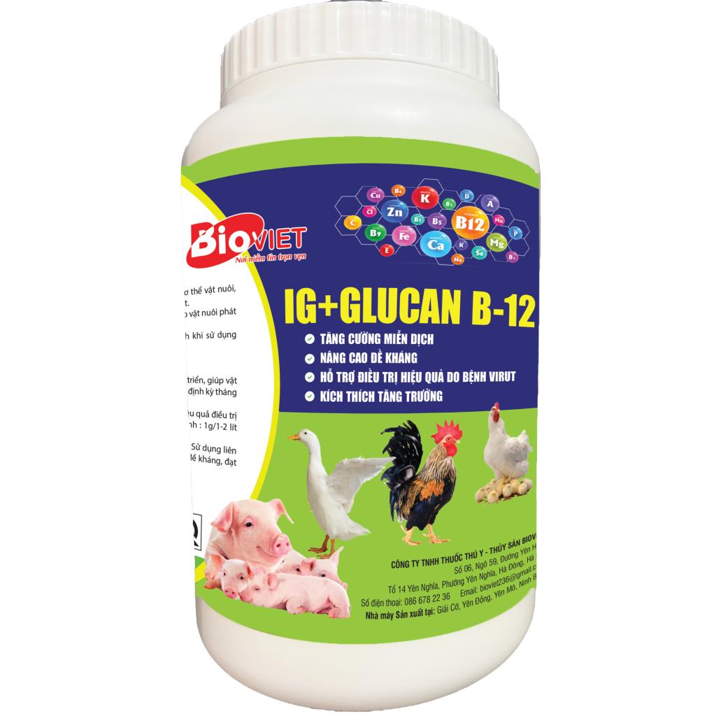 IG-GLUCAN B-12 ( BETAGLUCAN 20% ) KÍCH THÍCH MIỄN DỊCH CHO VẬT NUÔI, TĂNG ĐỀ KHÁNG, HỖ TRỢ KHI ĐIỀU TRỊ BỆNH VIRUS HIỆU QUẢ
