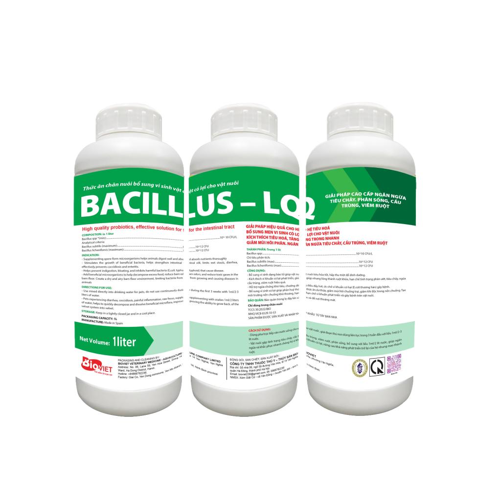 BACILLUS LQ ( MEN NƯỚC CAO CẤP ) - 100 Tỷ CFU/L